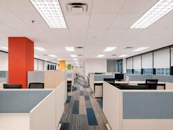 City House (D1), Office #556745631
